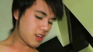 Bee Hd Twink Porn