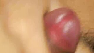 Bee Hd Twink Porn