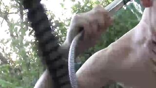 Handjob Sanchez Paolo