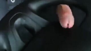 moisa robert fute volanu în tro camion în chriat petru maxim ora a ejagulat peste vol