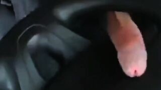 moisa robert fute volanu în tro camion în chriat petru maxim ora a ejagulat peste vol