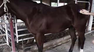 Teen Kristy May rides big dick after sloppy blowjob in barn