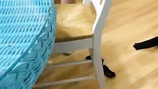 cougar Smokes, Accidentally Pees and Can’t Stop