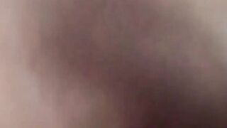 Attractive stud sucks cock and balls till rock hard