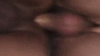 Attractive stud sucks cock and balls till rock hard
