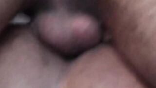 Attractive stud sucks cock and balls till rock hard