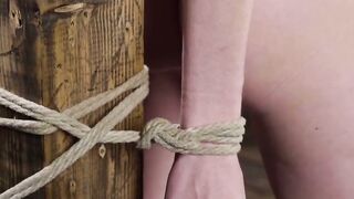 Bondage babe suspended and whipped