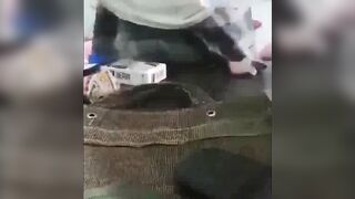Indian Pinki Bhabhi Blowjob and Fucking