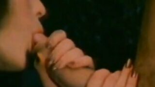Busty Annette Haven sucks and fucks in hardcore retro porn