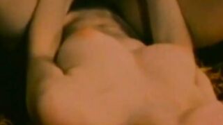 Busty Annette Haven sucks and fucks in hardcore retro porn