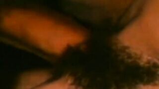 Busty Annette Haven sucks and fucks in hardcore retro porn