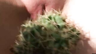 Submissive UK babe Fae tied up and fucked by Pascal White