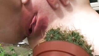 Submissive UK babe Fae tied up and fucked by Pascal White