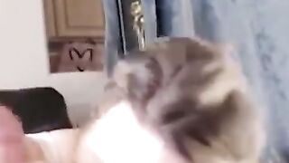Blonde MILF Anikka Albrite rides cock like a dirty cowgirl