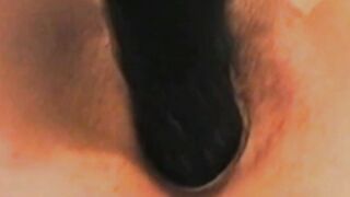 toying hairy pussy and my ass (Michelle 21)