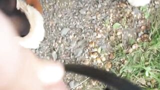 POV video of random prostitute fucking guy for money outdoor