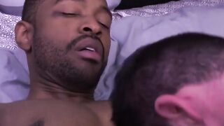 Black stallion gets in asshole smashed by big white dick