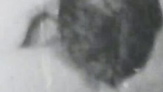Vintage vixen face sitting and fucks big cock in threesome