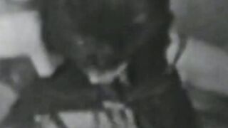 Vintage vixen face sitting and fucks big cock in threesome