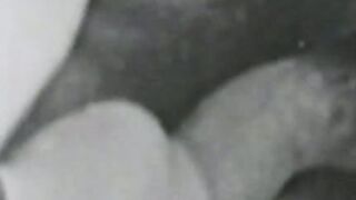 Vintage vixen face sitting and fucks big cock in threesome