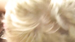 Blonde teen Miles ass stretched hardcore doggystyle after BJ
