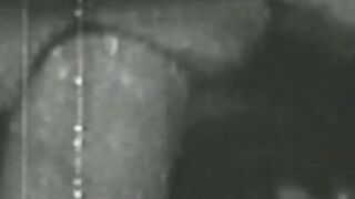 Black and white vintage video of lady sucking her lover
