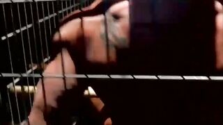 Blindfolded muscle slave dominated and teased in cage