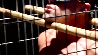 Blindfolded muscle slave dominated and teased in cage
