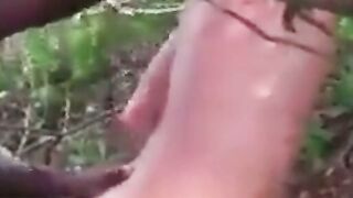 Big Black Cock Breeds White Hole Outdoors
