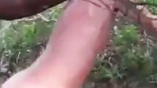 Big Black Cock Breeds White Hole Outdoors