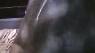 UNLEASH THE BEAST SULTRY SIREN DEVours YOUR DICK WHILE RIDEs YOU TILL YOU CUM!