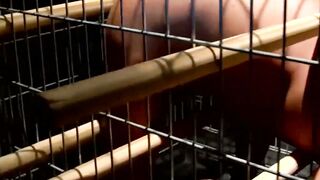 Stunning blindfolded slave caught and dominated in cage