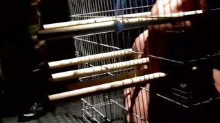 Stunning blindfolded slave caught and dominated in cage
