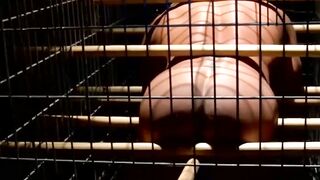 Stunning blindfolded slave caught and dominated in cage
