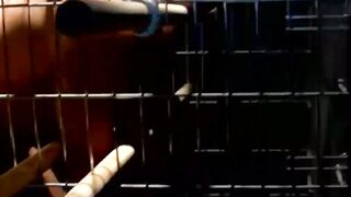 Stunning blindfolded slave caught and dominated in cage