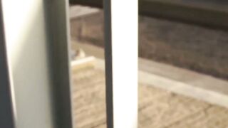 Outdoor blowjob with a dude who really needs some quick cash