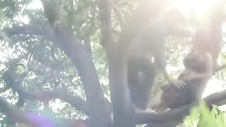 Home Tuition Students Arjun And Pooja Outdoor Sex