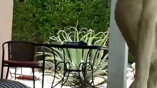 Bobby unleashes his dick and works on it until he unloads