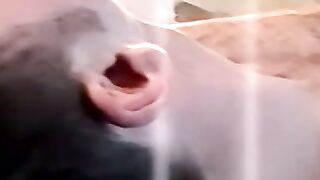 Rock hard hairy cock amateur gets hot passionate blowjob