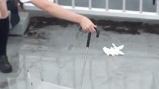 Rain does not stop Japanese chicks from peeing in public