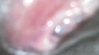 Pussy Lip's