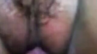 Pussy tml