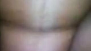 Pussy tml