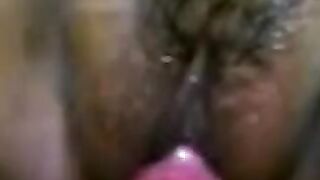 Pussy tml