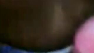 Pussy tml