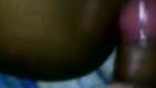 Pussy tml