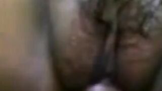 Pussy tml