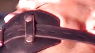 Trapped in Vice A Cops Desperate Plea for Release