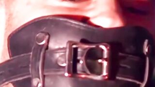 Trapped in Vice A Cops Desperate Plea for Release
