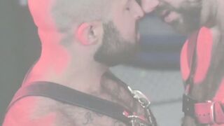 MONSTER BONER ALERT Tattooed Bear Atlas Grant BOUND  BREACHED  9 Inches of Unleashed Fury!